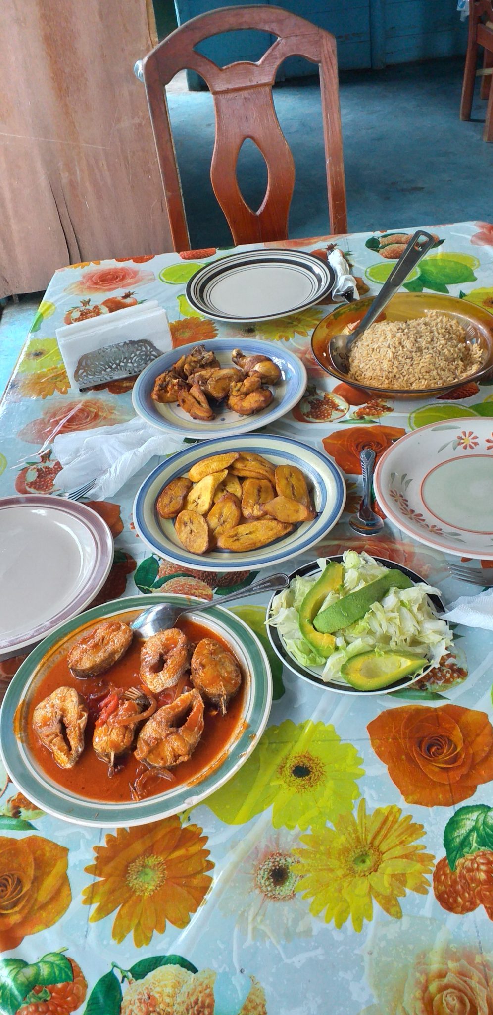 delicious-dominican-lunch-explora-ecotour